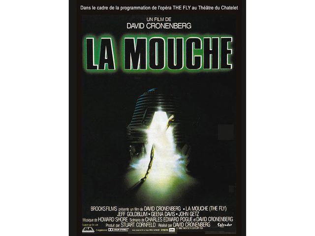 La Mouche est l'un des films dhorreur  voir absolument.