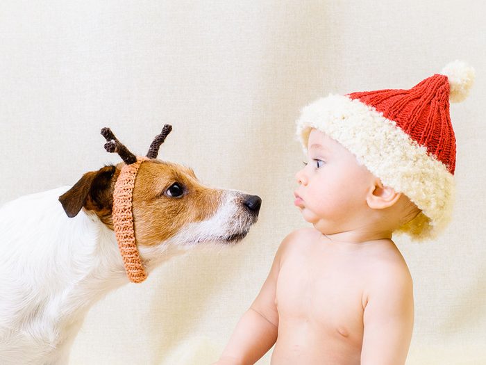 Photos hilarantes: chien de Noël et bébé à tuque.
