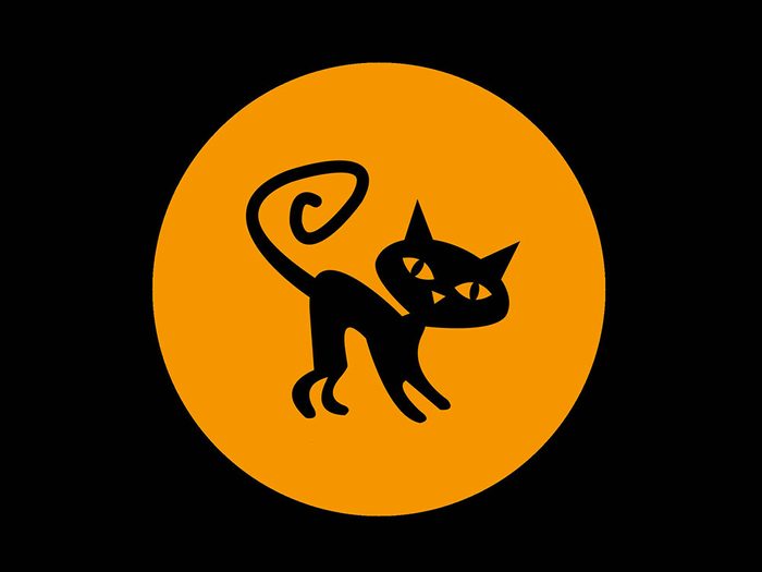 Halloween superstitions: La superstition des chats noirs.