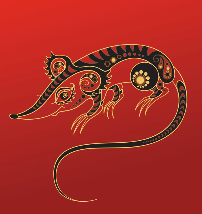 Le rat dans l'horoscope chinois.