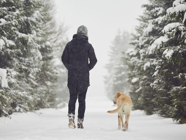 Un homme se promne avec son chien en hiver
