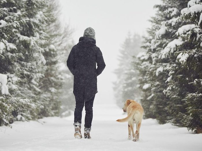 Un homme se promène avec son chien en hiver