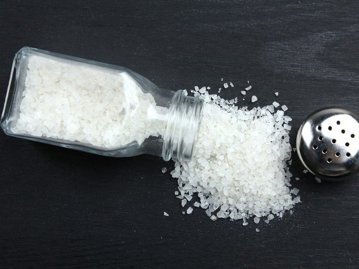 Alimentation: du sel de table et du sel marin.