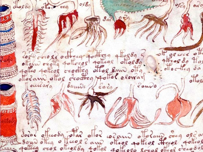 Le manuscrit Voynich reste un mystère, pour le moment.