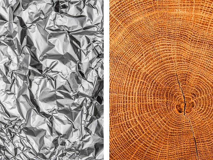 Protéger les troncs des arbres avec de l'aluminium ménager.