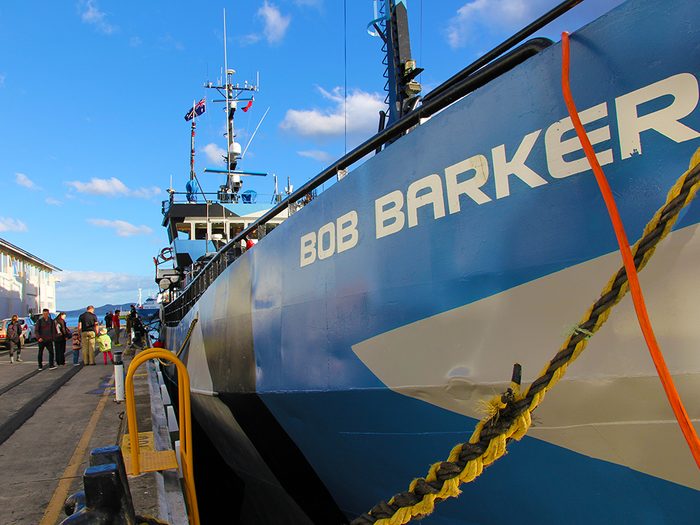 Bateaux de pêche: l'opération Icefish à bord du Bob Barker.