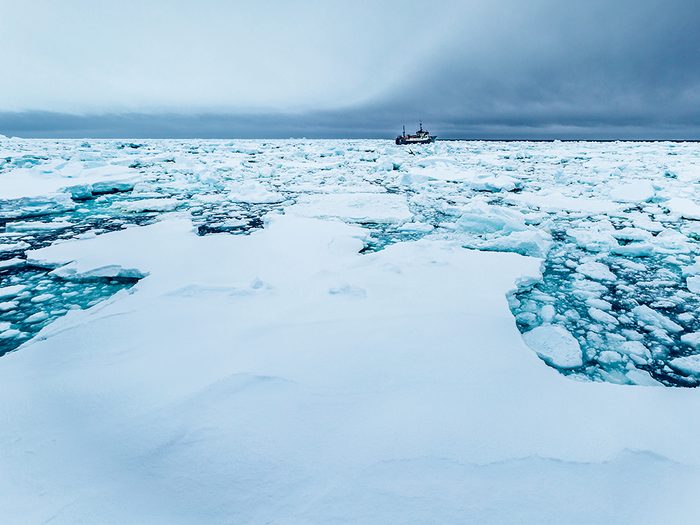 Bateaux de pêche: traque aux pirates dans l'Antarctique.