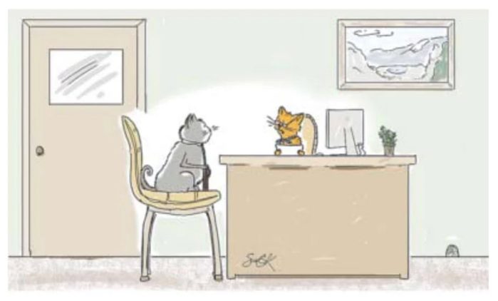 Caricatures sur le travail: entrevue de chats.