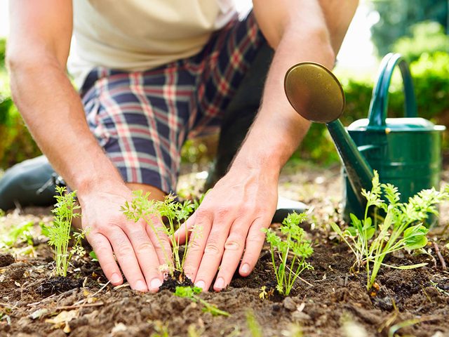 Le jardinage renforce votre systme immunitaire.