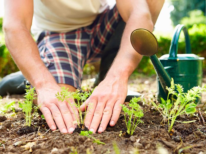 Le jardinage renforce votre système immunitaire.
