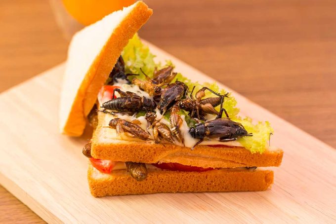 Un sandwich aux insectes est bon pour la santé.