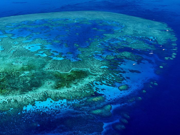 La Grande Barrière de corail est visible depuis l'orbite terrestre.