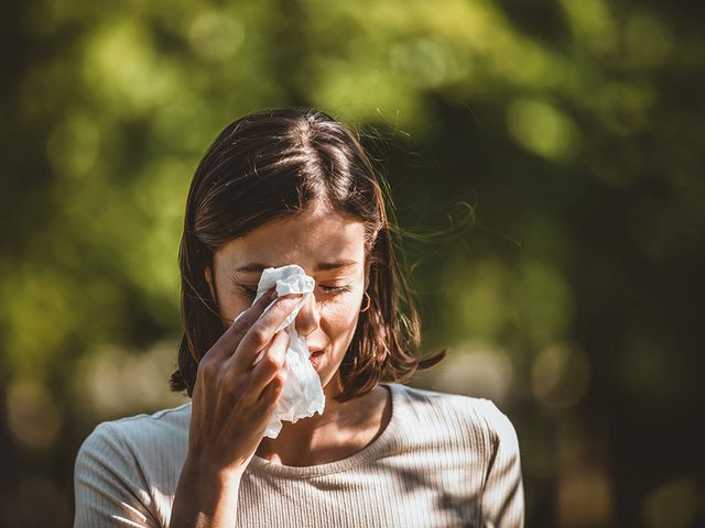 Chaque anne est la pire  ce jour pour les allergies.