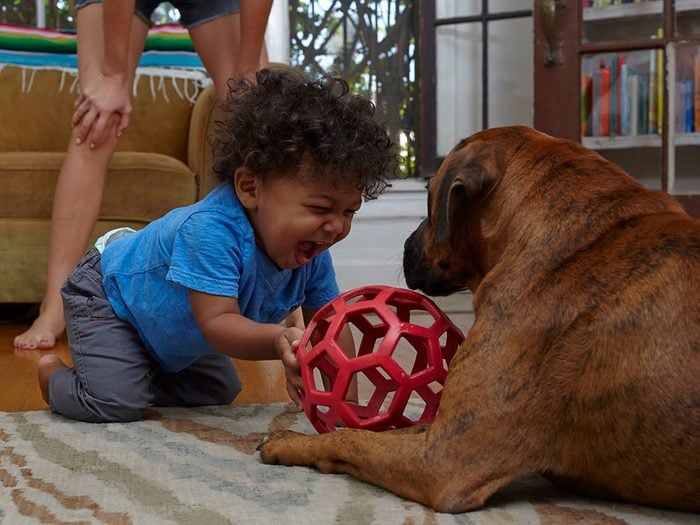 Ce bébé est ravi de jouer au ballon avec son chien.