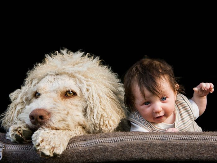 Ce chien et ce bébé ne sont jamais l’un sans l’autre.