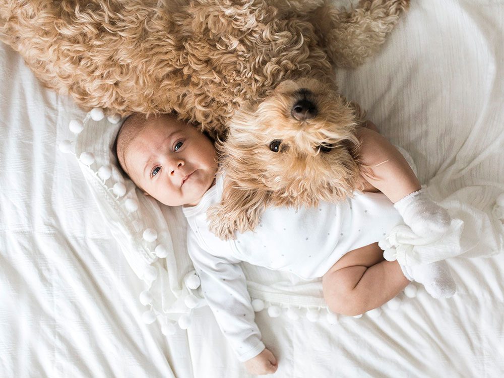 Le câlin le plus mignon ente un chien et un bébé.