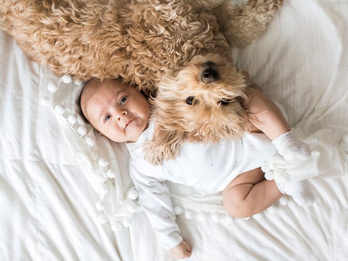 Le câlin le plus mignon ente un chien et un bébé.