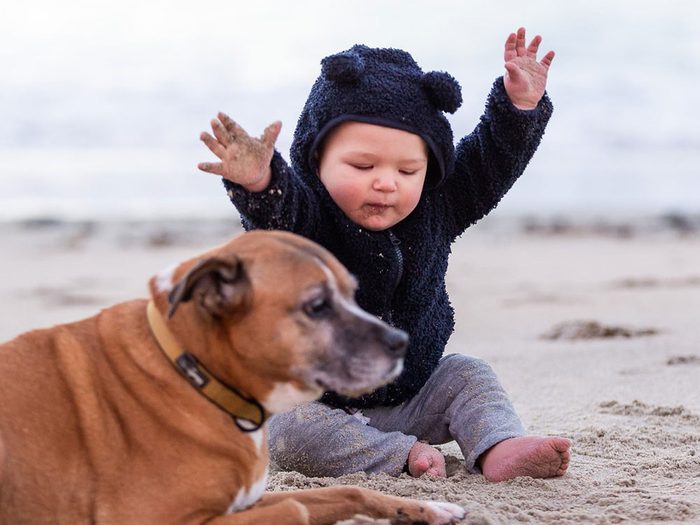 Un bébé et son chien à la plage.