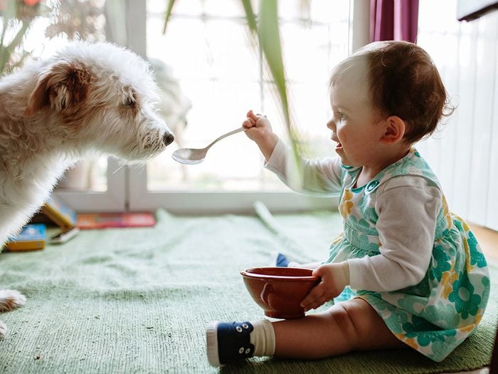 Ce bébé adore partager sa nourriture avec son chien!