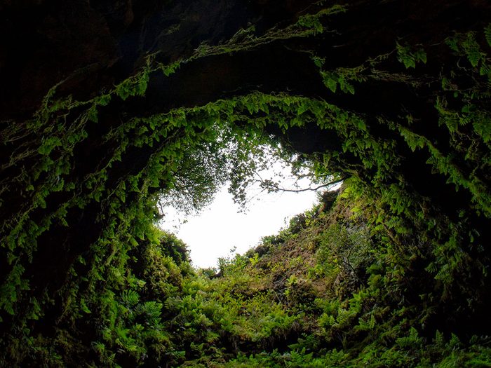 La grotte d'Algar do Carvão.