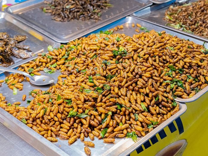 Les insectes comestibles représentent l'avenir alimentaire.