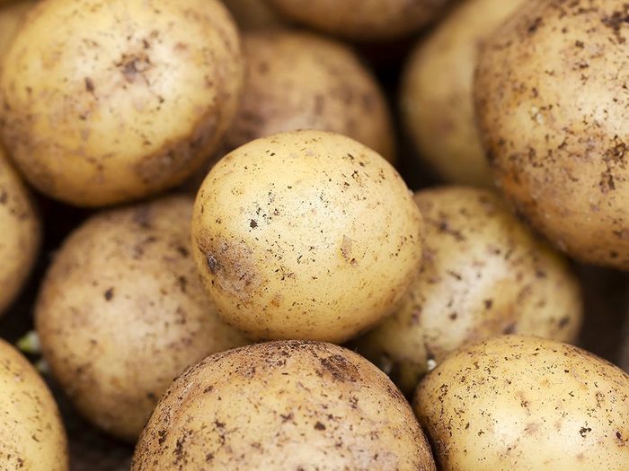 Les pommes de terre font partie des légumes qui poussent en un temps record dans le potager!