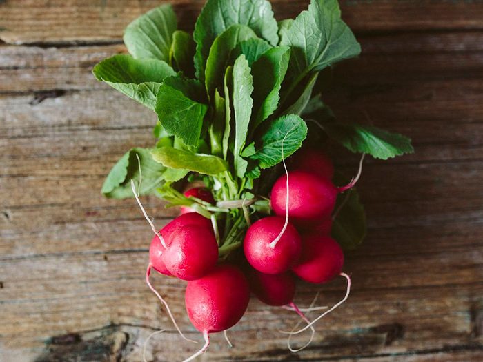 Les radis font partie des légumes qui poussent en un temps record dans le potager!