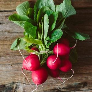 Les radis font partie des lgumes qui poussent en un temps record dans le potager!