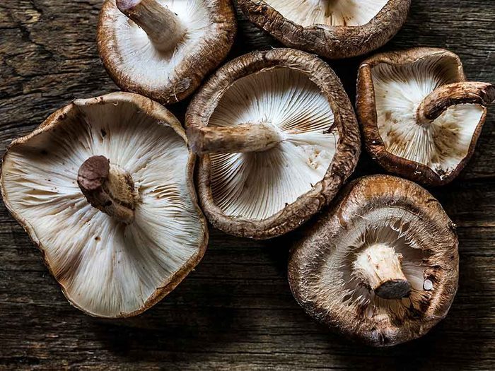 Comment conserver des aliments périssables tels que les champignons?