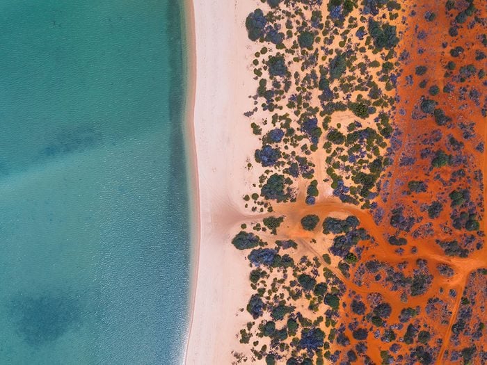 Photo aérienne de drone de la Baie Shark.
