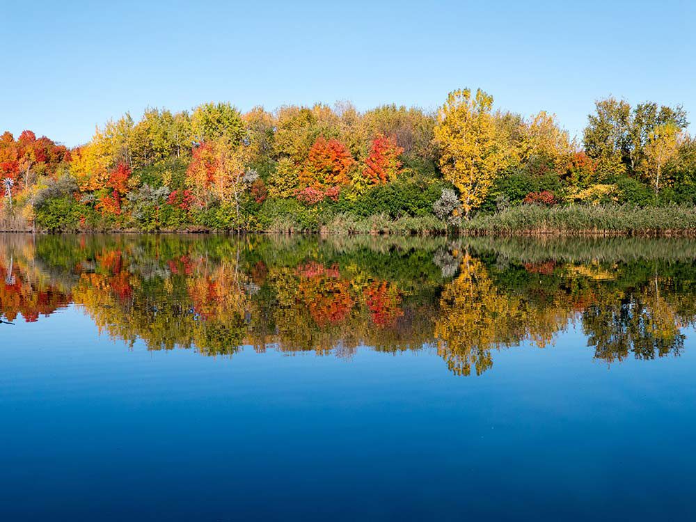 L’automne au Québec et au Canada dans le parc du Centenaire.