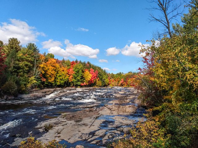 Les chutes Wilson aux couleurs d'automne au Qubec et au Canada par Maryse Tremblay.