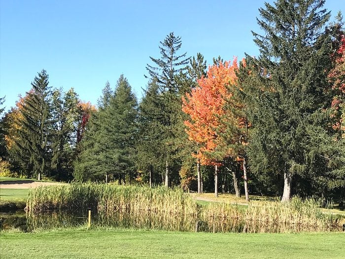 Les couleurs d'automne au Québec et au Canada par Johanne Carrier.