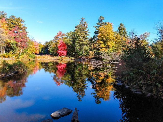 Les couleurs d'automne au Qubec et au Canada  St-Jrme par Maryse Tremblay.
