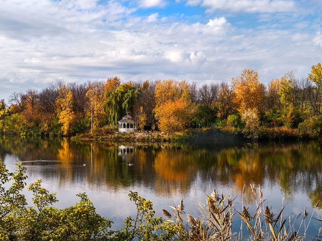 Les couleurs d'automne au Qubec et au Canada au Parc du Centenaire par Maryse Tremblay.