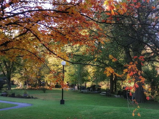 Les couleurs d'automne au Qubec et au Canada par Pierre Lapointe.