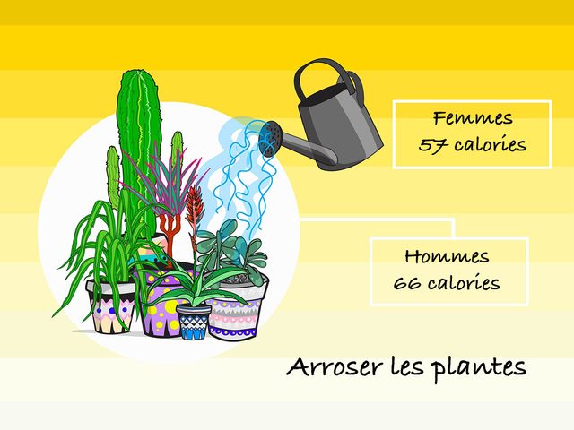 Arroser les plantes pour brler des calories.
