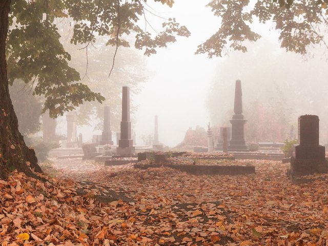  l'origine, Halloween tait une fte paenne au cours de laquelle on honorait les morts.