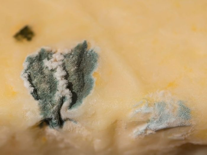 Les fromages à pâte dure peuvent être consommés même moisis.