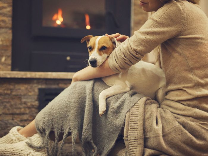 Quel est l'impact de la température à l'intérieur de la maison sur nos animaux de compagnie?
