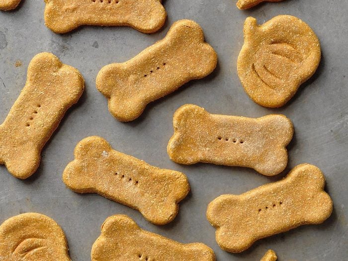 Biscuits pour chiens à la citrouille et au gingembre.
