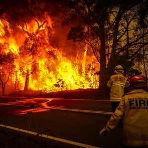 Incendies en Australie: l'enfer sur Terre.