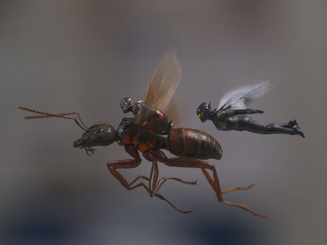 Regardez Ant-Man and the Wasp en 21e pour respecter la chronologie de film Marvel.
