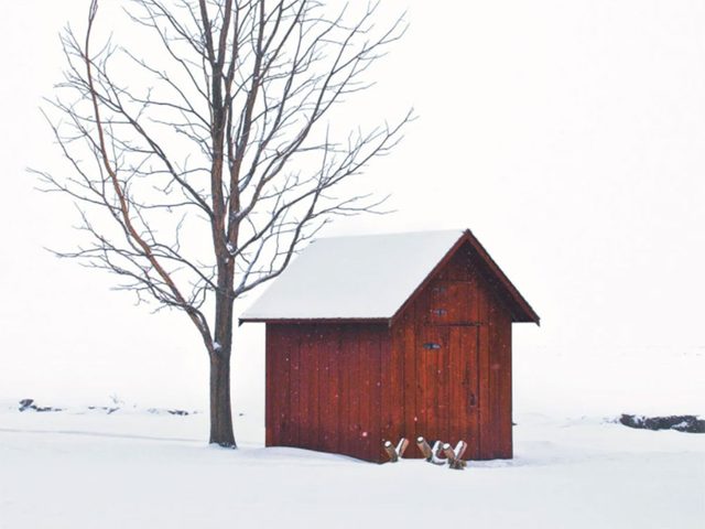 La beaut de l'hiver canadien  travers cette image de la John R. Park Homestead Conservation Area.