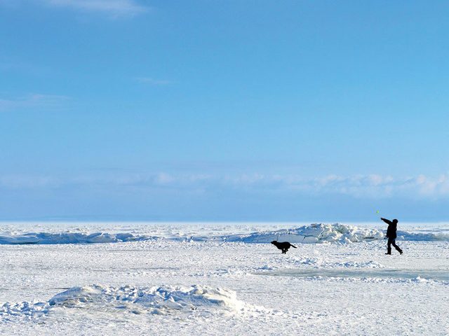 La beaut de l'hiver canadien  travers cette image des formations de glace  Crystal Beach.
