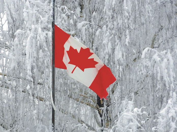 La beauté de l'hiver canadien à travers cette image du drapeau du Canada.