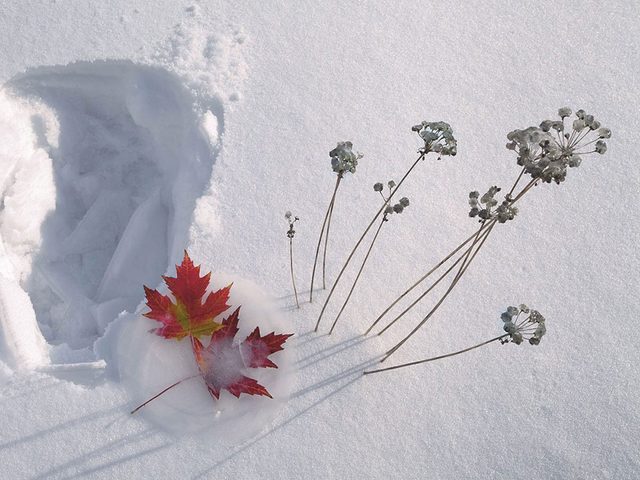 La beaut de l'hiver canadien  travers cette image Saint-Hubert, au Qubec.