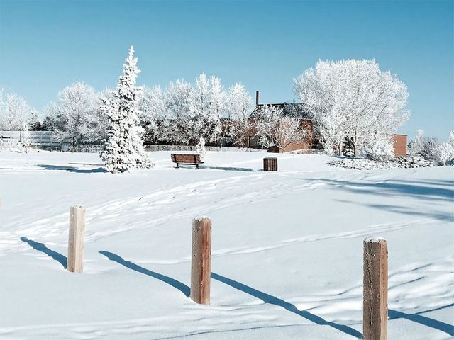 La beaut de l'hiver canadien  travers ce paysage du sud de l'Alberta.