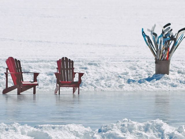 La beaut de l'hiver canadien  travers cette image du parc Algonquin.