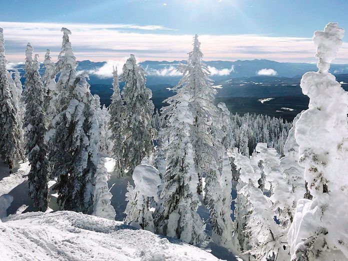 La beauté de l'hiver canadien à travers cette image du Big White à Kelowna, en Colombie-Britannique.